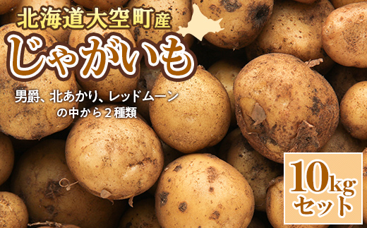 【数量限定】北海道産 じゃがいも 10kgセット 及び(込み玉、土付き) OSAA001