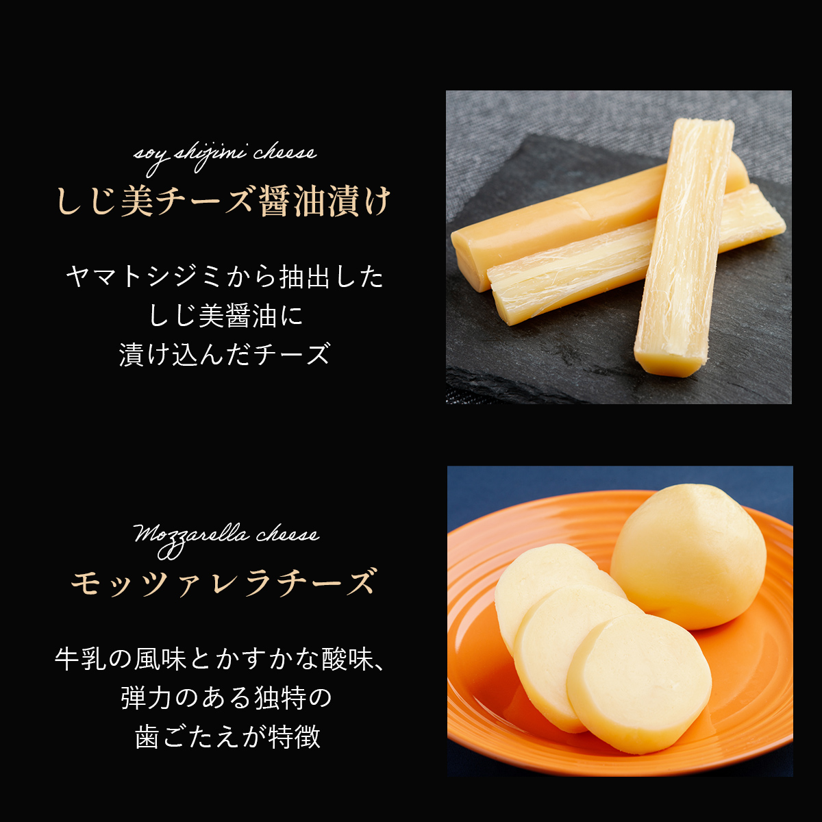 ひがしもこと乳酪館 チーズ詰め合わせセット 10種 OSA069