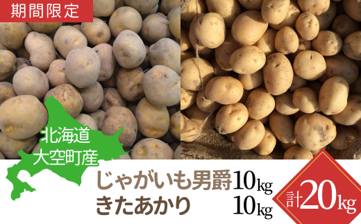 【期間限定】北海道大空町産じゃがいも20kg OSA041