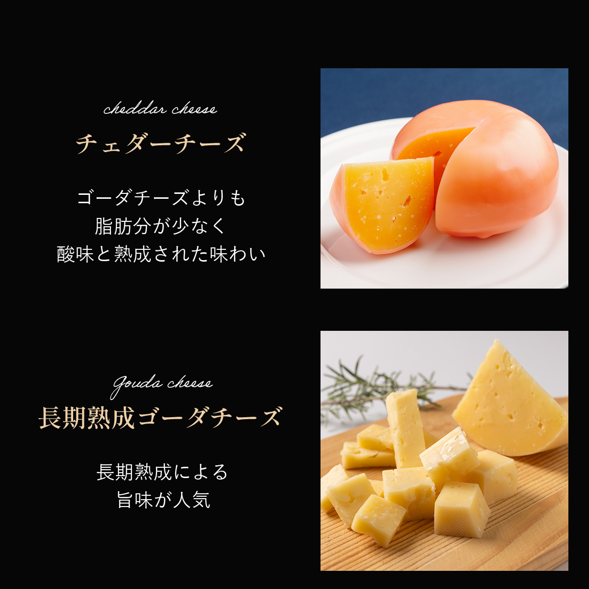 ひがしもこと乳酪館 チーズ詰め合わせセット 10種 OSA069