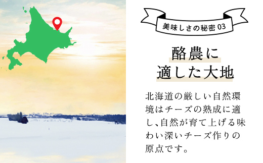 繝√シ繧コ繧ェ繝シ繝ォ繧ケ繧ソ繝シ繧コ縺願ゥヲ縺励そ繝繝 OSA006