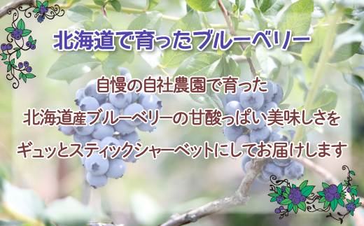 北海道 豊浦町 ブルーベリーシャーベット 30本 【 ふるさと納税 人気 おすすめ ランキング 果物 メロン めろん 果物 ブルーベリー 国産ブルーベリー ブルーベリーシャーベット 大容量 おいしい 美味しい 甘い 北海道 豊浦町 送料無料 】TYUN013
