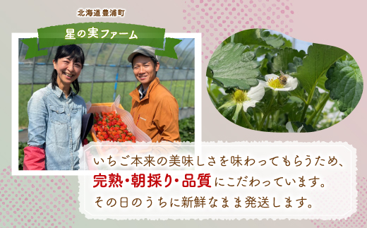 【2025.5月以降順次出荷】北海道 豊浦 いちご 小玉 けんたろう 250g×4パック1箱 約1kg TYUW001