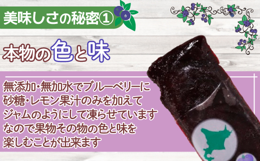 北海道 豊浦町 ブルーベリーシャーベット 20本 【 ふるさと納税 人気 おすすめ ランキング 果物 メロン めろん 果物 ブルーベリー 国産ブルーベリー ブルーベリーシャーベット 大容量 おいしい 美味しい 甘い 北海道 豊浦町 送料無料 】TYUN012