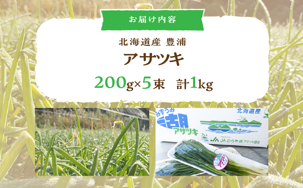 北海道産アサツキ 1kg  TYUAH004