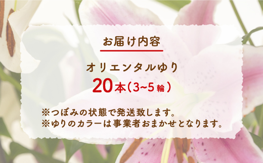 福原さん家のオリエンタルゆりの花束 20本（3〜5輪） TYUAB004
