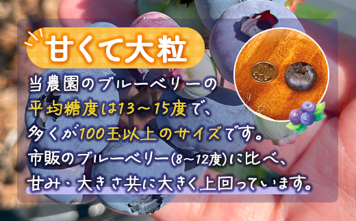 【定期便3カ月】北海道 豊浦町産 冷凍 ブルーベリー 1kg 栽培期間中農薬不使用 TYUS008