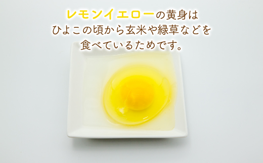 北海道 豊浦 おふけしの平飼い卵 24個 TYUZ001