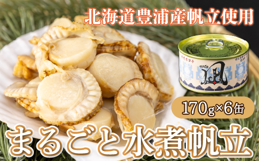 北海道 豊浦 噴火湾産 まるごと水煮ホタテ 170g×6缶 ほたて 帆立 TYUAD016