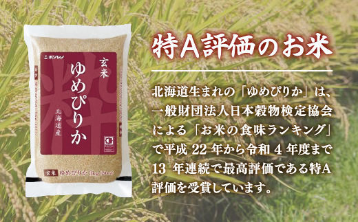 【令和6年産新米 定期配送5ヵ月】ホクレン ゆめぴりか 玄米6kg（3kg×2） TYUA047