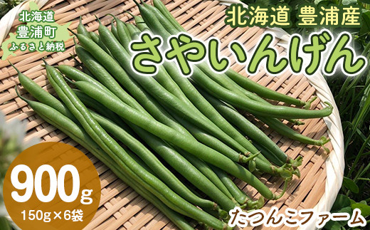 【2026年7月以降順次出荷】さやいんげん150g×6袋