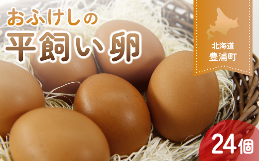 北海道 豊浦 おふけしの平飼い卵 24個 TYUZ001