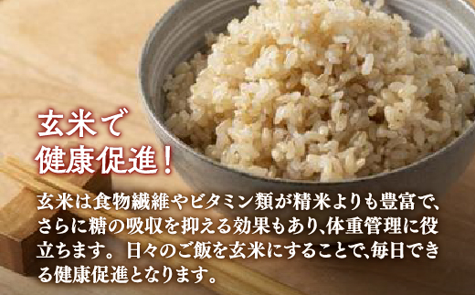 【令和6年産新米 定期配送5ヵ月】ホクレン ゆめぴりか 玄米6kg（3kg×2） TYUA047