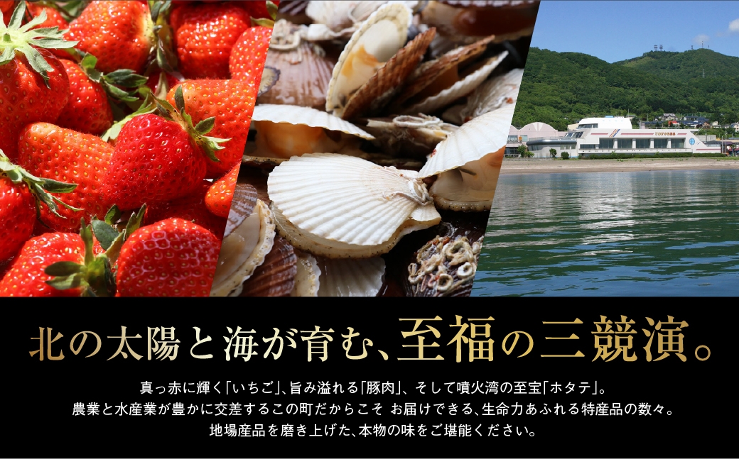 北海道 豊浦町 シャーベット 4種 味くらべ 各8本ずつ（ ブルーベリー、いちご、メロン、りんご ）