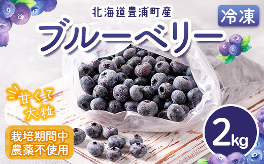 北海道 豊浦町産 冷凍 ブルーベリー 2kg 栽培期間中農薬不使用 TYUS020