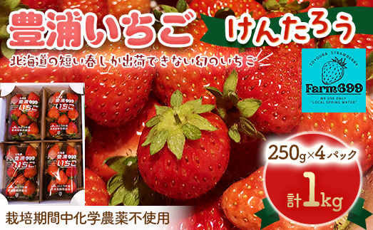 【2026年4月下旬以降出荷】豊浦いちご　250ｇ×4パック TYUAH003