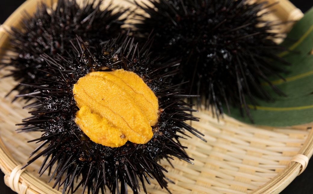 縲仙ョ壽悄萓ソ5蝗槭第オキ魄ョ蝨ー蜈貍∝クォ蜴ウ驕ク 蝎エ轣ォ貉セ逕」 豬キ縺ョ蟷ク 繧ケ繝壹す繝」繝ォ 蛹玲オキ驕 雎頑オヲ 縺縺ォ 縺縺上i 繝帙ち繝 魄ュ 蛻コ霄ォ 豈帙ぎ繝 TYUR028