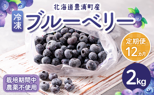 【定期便12カ月】北海道 豊浦町産 冷凍 ブルーベリー 2kg 栽培期間中農薬不使用 TYUS004