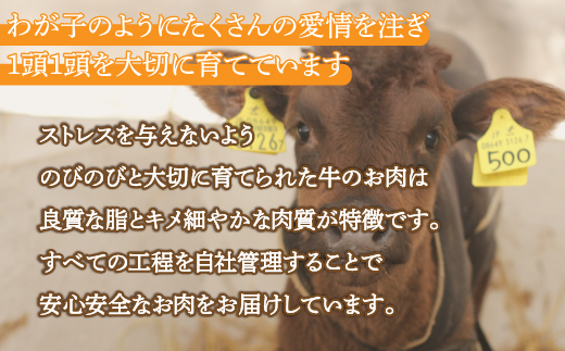 黒毛和牛 カドワキ牛 切り落とし 350〜400g 牛肉 しゃぶしゃぶ すき焼き 冷凍 TYUAE001