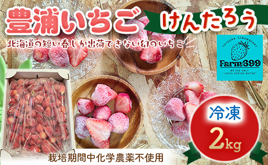 【2026年4月下旬以降出荷】豊浦いちご 冷凍いちご 2kg TYUAH002