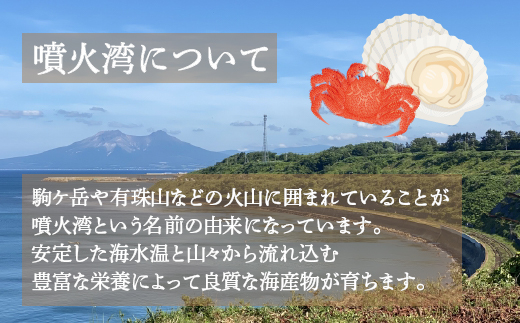  地元漁師 厳選 噴火湾産 旬のお刺身セット 北海道 豊浦 TYUR013