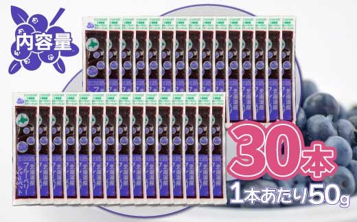 北海道 豊浦町 ブルーベリーシャーベット 30本 【 ふるさと納税 人気 おすすめ ランキング 果物 メロン めろん 果物 ブルーベリー 国産ブルーベリー ブルーベリーシャーベット 大容量 おいしい 美味しい 甘い 北海道 豊浦町 送料無料 】TYUN013