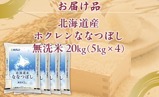 （無洗米20kg）ホクレンななつぼし（5kg×4袋） TYUA153