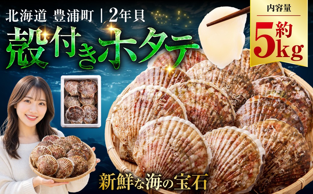 【先行予約】北海道 豊浦町 殻付きホタテ貝  2年貝  約5kg 【2027年1月下旬～3月下旬発送予定】 ほたて 帆立 シーフード 海鮮 BBQ