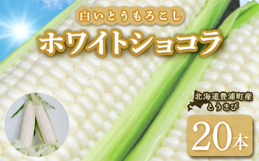 ホワイトショコラ　白いとうもろこし 20本 北海道 豊浦町産 とうきび【2026年9月下旬以降順次発送】