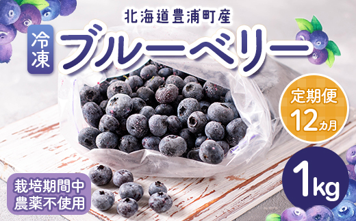 【定期便12カ月】北海道 豊浦町産 冷凍 ブルーベリー 1kg 栽培期間中農薬不使用 TYUS003