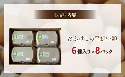 北海道 豊浦 おふけしの平飼い卵 48個 TYUZ003