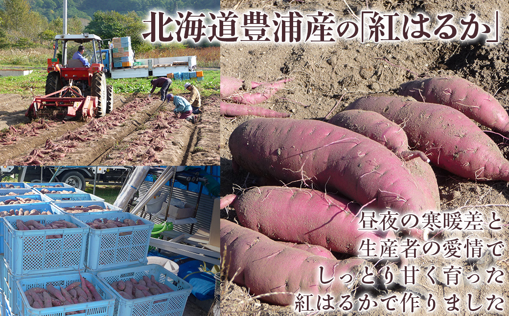 干し芋100g×5セット（北海道豊浦町産　紅はるか使用）　TYUL032