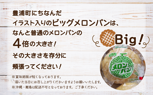北海道 豊浦 ビックメロンパン おまかせパン12個セット TYUO009