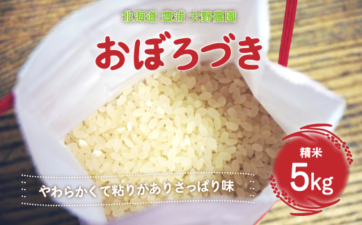 【新米】 北海道 豊浦 大野農園 令和6年産 おぼろづき 5kg 精米 TYUO013