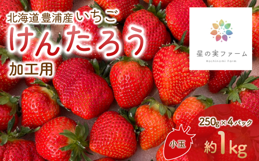 【2025.5月以降順次出荷】北海道 豊浦 いちご 加工用 小粒 けんたろう 250g×4パック1箱 約1kg TYUW003