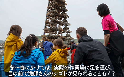 縺ゅ↑縺溘ョ遏・繧峨↑縺繝帙ち繝縺ョ荳也阜シ5莠コ逕ィシ TYUL017