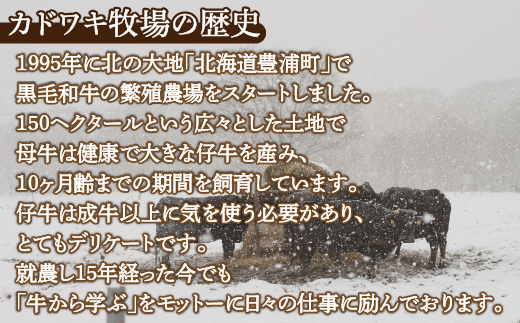 北海道 黒毛和牛 カドワキ牛 モモ スライス 400g〜450g【冷蔵】 TYUAE009