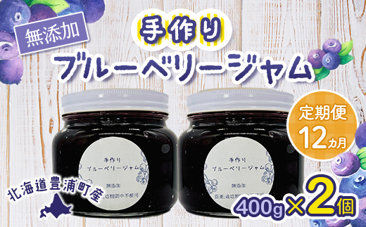 【定期便12カ月】北海道 豊浦町産 無添加手作り ブルーベリージャム400g×2個 TYUS002