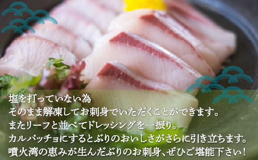 縺カ繧雁霄ォ 邏200g x 5繝代ャ繧ッ 縲2026蟷エ10譛医h繧企谺。逋コ騾√大圏豬キ驕 蝎エ轣ォ貉セ逕」