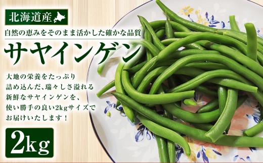 北海道産 サヤインゲン 2kg さやいんげん いんげん インゲン 野菜 やさい 新鮮 鮮度 取り寄せ 【 2026年7月下旬〜10月下旬発送予定 】
