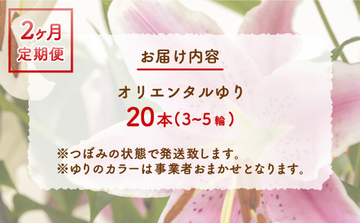 【2カ月定期便】福原さん家のオリエンタルゆりの花束 20本（3〜5輪） TYUAB006
