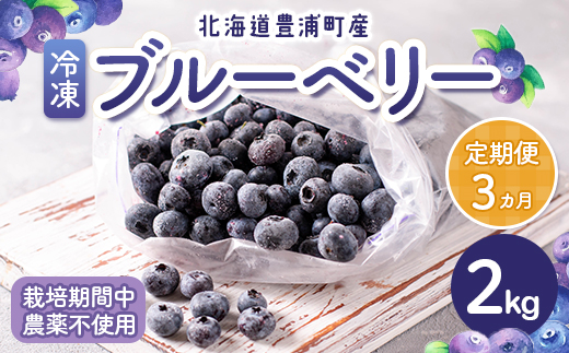 【定期便3カ月】北海道 豊浦町産 冷凍 ブルーベリー 2kg 栽培期間中農薬不使用 TYUS009