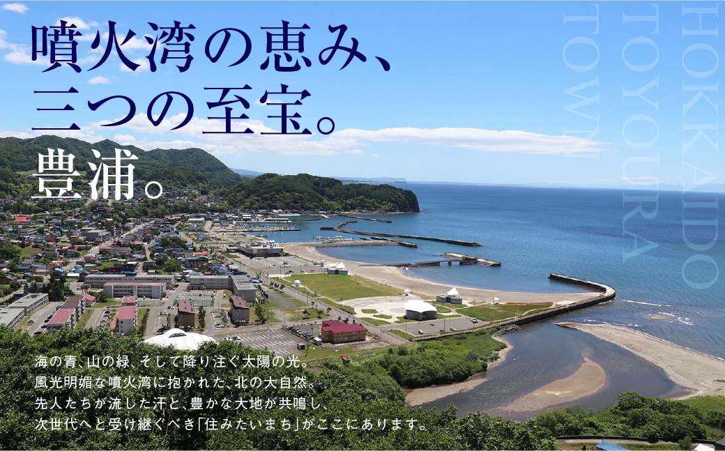 北海道 豊浦町 シャーベット 4種 味くらべ 各8本ずつ（ ブルーベリー、いちご、メロン、りんご ）