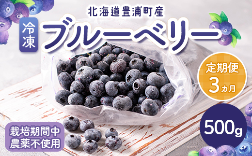 【定期便3カ月】北海道 豊浦町産 冷凍 ブルーベリー 500g 栽培期間中農薬不使用 TYUS010