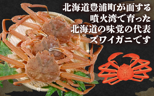 【訳あり】 北海道 豊浦 噴火湾 ズワイガニ 約1.5～2kg（4～6尾） 数量限定 TYUR041