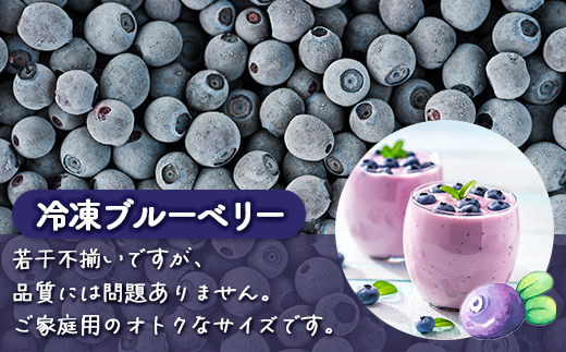 北海道 豊浦町産 冷凍 ブルーベリー 2kg 栽培期間中農薬不使用 TYUS020