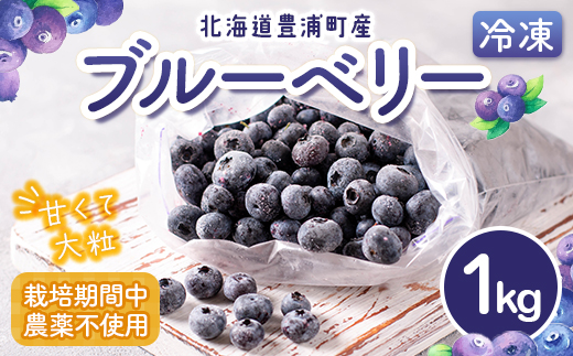 北海道 豊浦町産 冷凍 ブルーベリー 1kg 栽培期間中農薬不使用 TYUS019