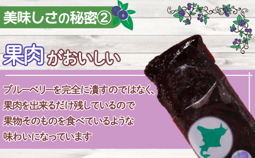 北海道 豊浦町 ブルーベリーシャーベット 20本 【 ふるさと納税 人気 おすすめ ランキング 果物 メロン めろん 果物 ブルーベリー 国産ブルーベリー ブルーベリーシャーベット 大容量 おいしい 美味しい 甘い 北海道 豊浦町 送料無料 】TYUN012