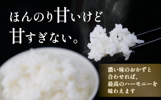 北海道 豊浦 令和5年産 精米 ななつぼし 5kg TYUQ003