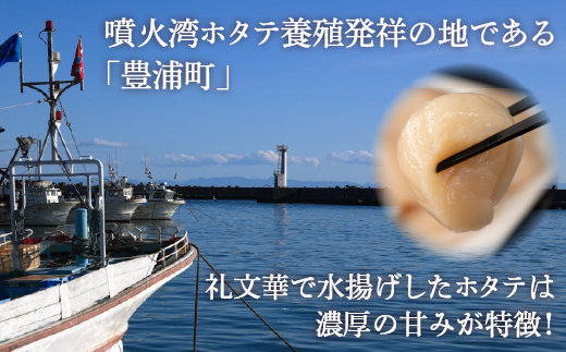 【禁輸に負けない】ホタテ 北海道 豊浦 噴火湾 礼文華 約500g 帆立 貝柱 2年貝 